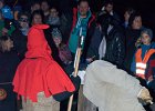 Foto (35) : Zimníček - 7.11.2015